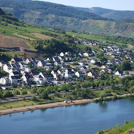 Ferienwohnung In der Kehr Briedel Exterior foto