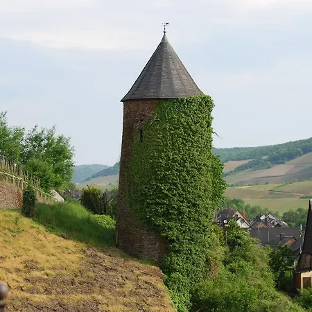 Ferienwohnung In der Kehr Briedel Exterior foto